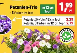 Thomas Philipps Petunien-Trio aanbieding