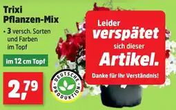 Thomas Philipps Trixi Pflanzen-Mix aanbieding