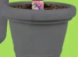 Thomas Philipps Pflanztopf Siena aanbieding