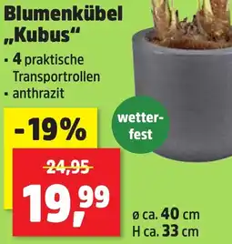 Thomas Philipps Blumenkübel Kubus aanbieding