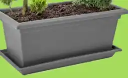 Thomas Philipps XXL-Pflanzkasten Magnus aanbieding