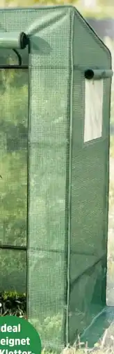 Thomas Philipps Tomaten gewächshaus aanbieding