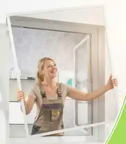 Thomas Philipps Insektenschutz für Fenster aanbieding