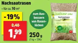 Thomas Philipps Nachsaatrasen aanbieding