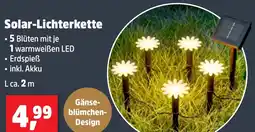 Thomas Philipps Solar-Lichterkette aanbieding
