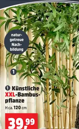 Thomas Philipps Künstliche XXL-Bambus- pflanze aanbieding