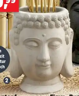 Thomas Philipps Blumentopf Buddha aanbieding