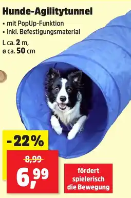 Thomas Philipps Kunst Agilitytunnel aanbieding