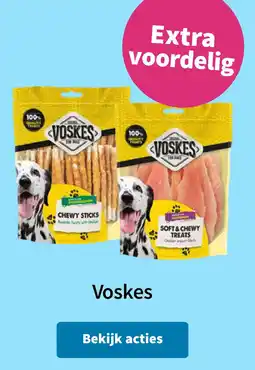 Plein.nl Voskes aanbieding