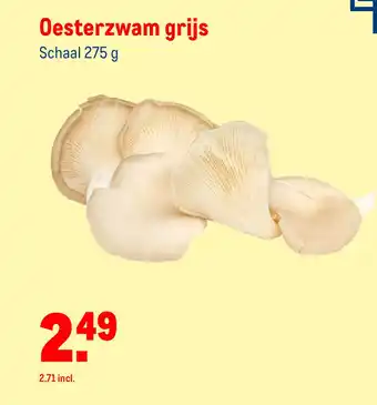 Makro Oesterzwam grijs aanbieding