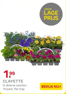 Praxis Clayette aanbieding