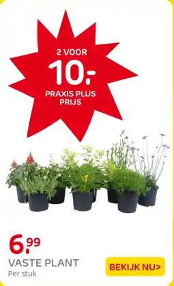 Praxis Vaste Plant aanbieding