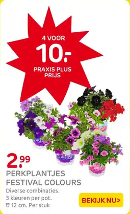 Praxis Perkplantjes festival colours aanbieding