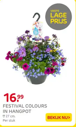 Praxis Festival colours in hangpot aanbieding