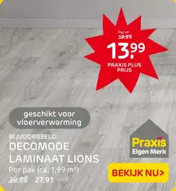 Praxis Decomode laminaat lions aanbieding