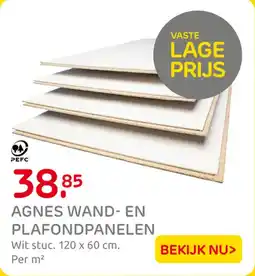 Praxis Agnes Wand en Plafondpanelen aanbieding