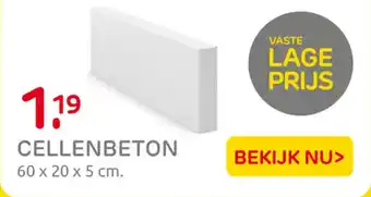 Praxis Cellenbeton aanbieding
