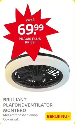 Praxis Brilliant plafondventilator montero aanbieding