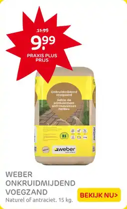 Praxis Weber Onkruidmijdend Voegzand aanbieding