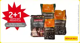Praxis Giant Flames houtskool en briketten aanbieding