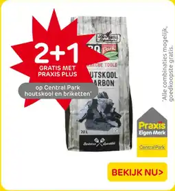 Praxis Central Park houtskool en briketten aanbieding