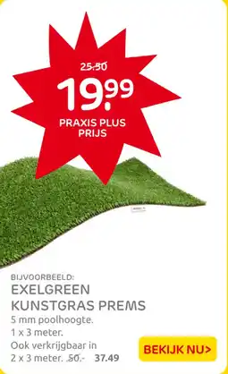 Praxis Exelgreen Kunstgras Prems aanbieding