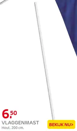 Praxis Vlaggenmast aanbieding