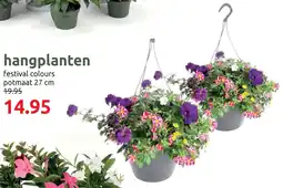Deka Tuin Hangplanten aanbieding