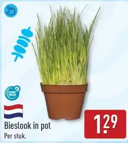 ALDI Bieslook in pot aanbieding