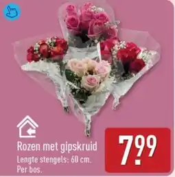 ALDI Rozen met Gipskruid aanbieding