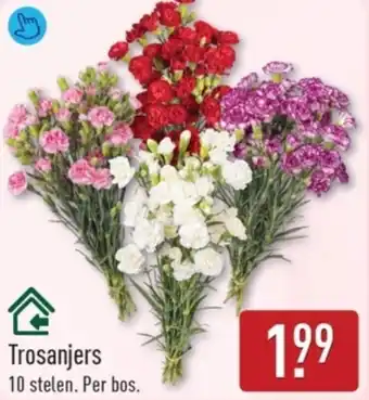 ALDI Trosanjers aanbieding