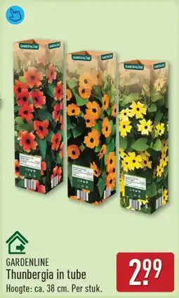 ALDI Gardenline Thunbergia in Tube aanbieding