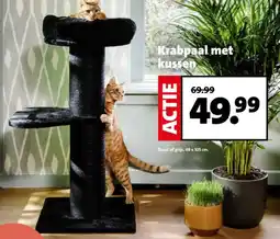 Intratuin Krabpaal met kussen aanbieding