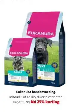Intratuin Eukanuba hondenvoeding aanbieding