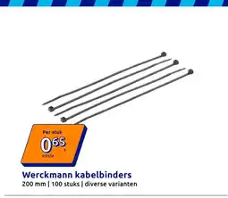 Action Werckmann kabelbinders aanbieding