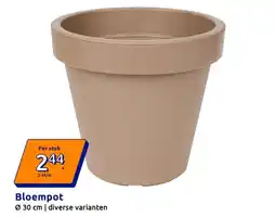 Action Bloempot aanbieding