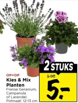 Vomar Voordeelmarkt Kies & mix planten aanbieding