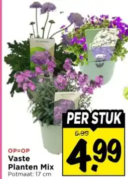 Vomar Voordeelmarkt Vaste planten mix aanbieding