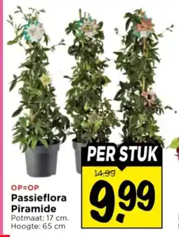 Vomar Voordeelmarkt Passieflora piramide aanbieding