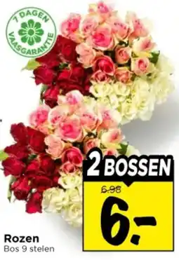 Vomar Voordeelmarkt Rozen aanbieding