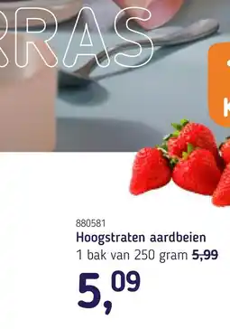Van Hoeckel Hoogstraten aardbeien aanbieding