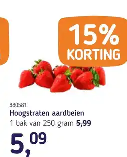 Van Hoeckel Hoogstraten aardbeien aanbieding