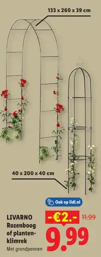 Lidl Livarno rozenboog of planten- klimrek aanbieding