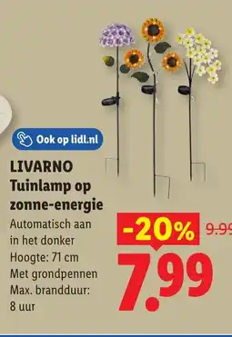 Lidl Livarno Tuinlamp op zonne-energie aanbieding
