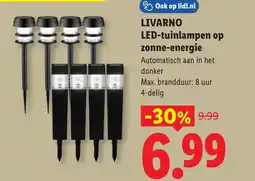 Lidl Livarno LED-tuinlampen op zonne-energie aanbieding