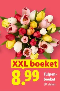 Lidl Tulpenboeket XXL aanbieding