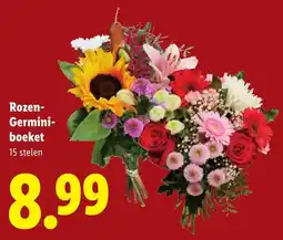 Lidl Rozen Germini Boeket aanbieding