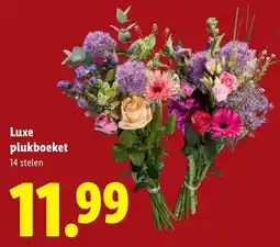 Lidl Luxe Plukboeket aanbieding