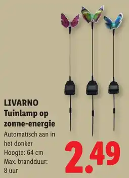 Lidl Livarno Tuinlamp op Zonne Energie aanbieding