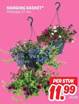 Dekamarkt Hanging basket aanbieding